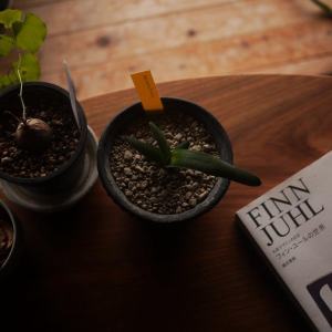 weather_report_top_page